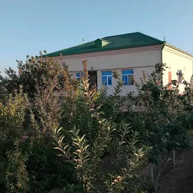 Satlyk jaÿ Altyn sâhra