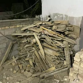 Odunlyk agaç mugt