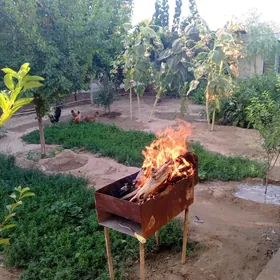 Bagyr mirewe