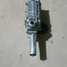 karopga gazel 5 skor