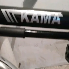 Kama tigir