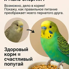 КОРМ ДЛЯ ПОПУГАЕВ/птичий корм