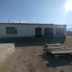jaý
