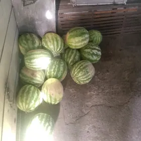 арбуз