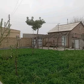 дача