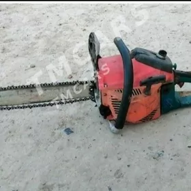 AGAÇ KESÝÄN