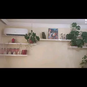 полки
