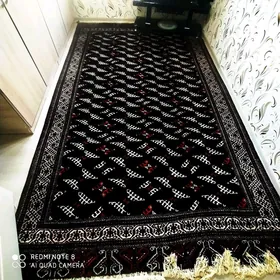 gara haly tazeje
