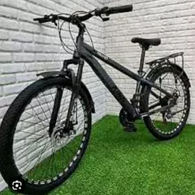  Tigir  26 lyk