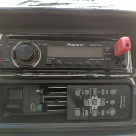 pioneer dilfin delfin