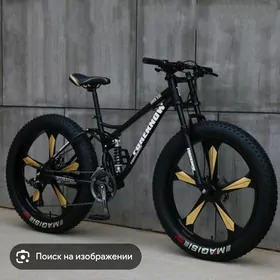  Tigir  26 lyk