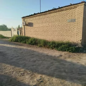 Srocna satlyk daca