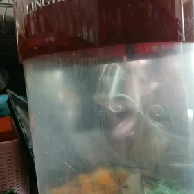 akwaryum