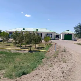 жай со́вда нокады