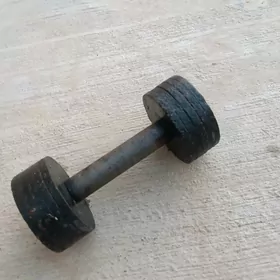 ştanga