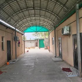 Satlyk daça Anev ẓ̌ibi daça