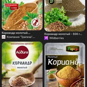 salat koriandr
