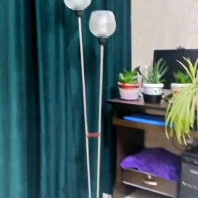 ТОРШЕР