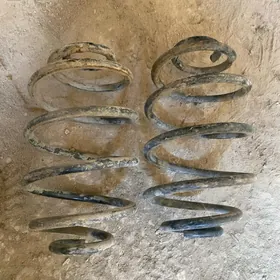 puržin