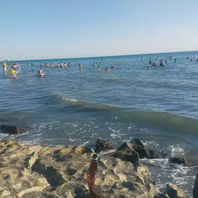 Guwllymayak daça