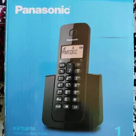 Panasonic
