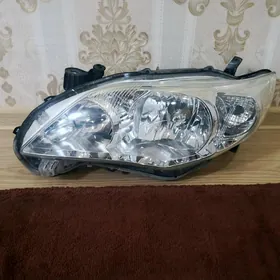 Halyjy Carollan Cep Tarap Fara
