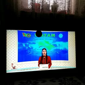 telewizor gyssagly  ulanylan