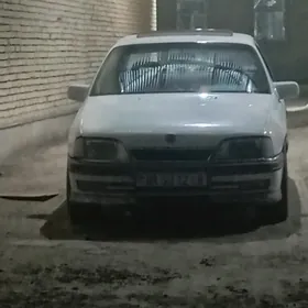 Opel Omega 1991