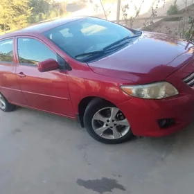 Toyota Corolla 2010