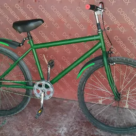 Turkmenistan tigir
