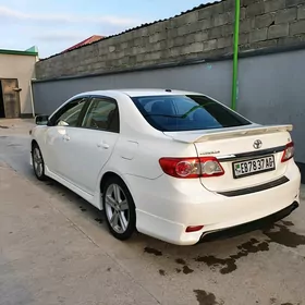 korolla disga xrs