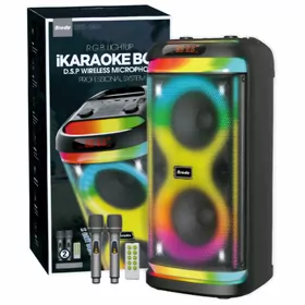 kalonka iki mikrafonly kalonka