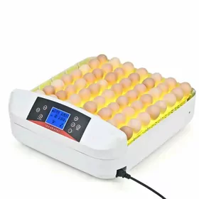 inkubator 56 yumurtgalyk