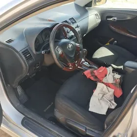 Toyota Corolla 2010