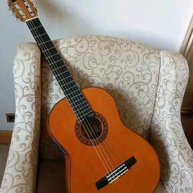 Gitara
