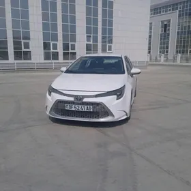 Toyota Corolla 2020