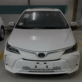 Toyota Corolla 2025