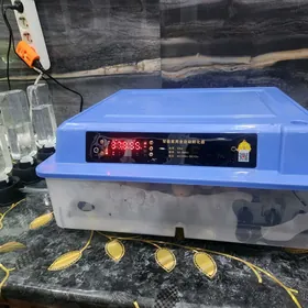 inkubator