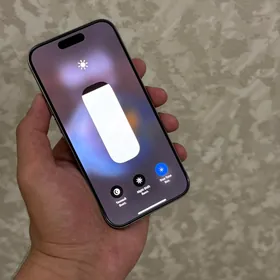 15 Pro 99ZA/A