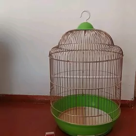 Аквариумы и Клетка