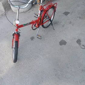 tigir kama