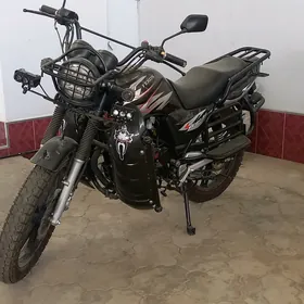 Fekon FK150-8G 2024