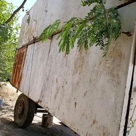 prisep прсеп