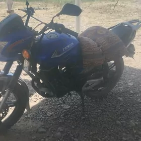 Fekon FK200-14G 2019