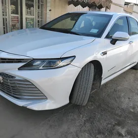 Toyota Camry 2019