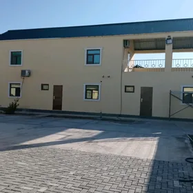 arenada jaý gulmayakda