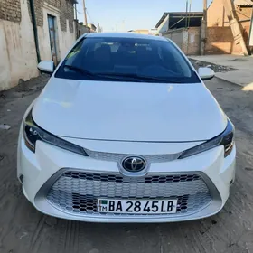 Toyota Corolla 2020