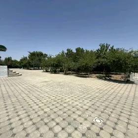 Taze Zaman Villa  24 sotok️
