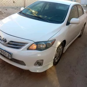 Toyota Corolla 2010