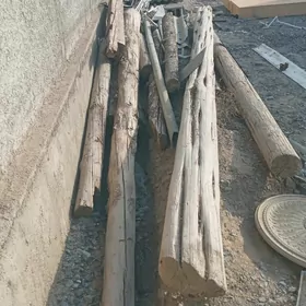 Agaç togolok naw